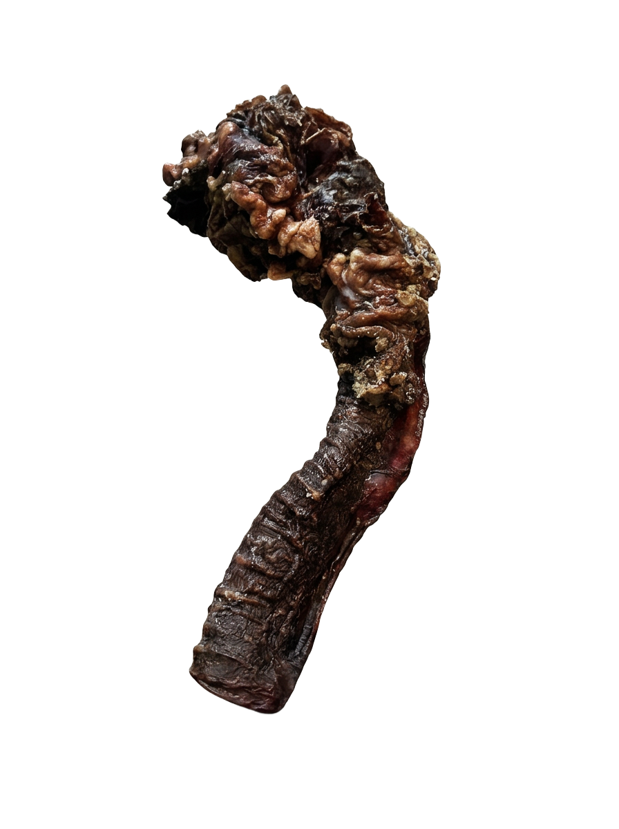 ZOMBIE TRÁQUEAS — Crujido Salvaje Para Canijos de Verdad