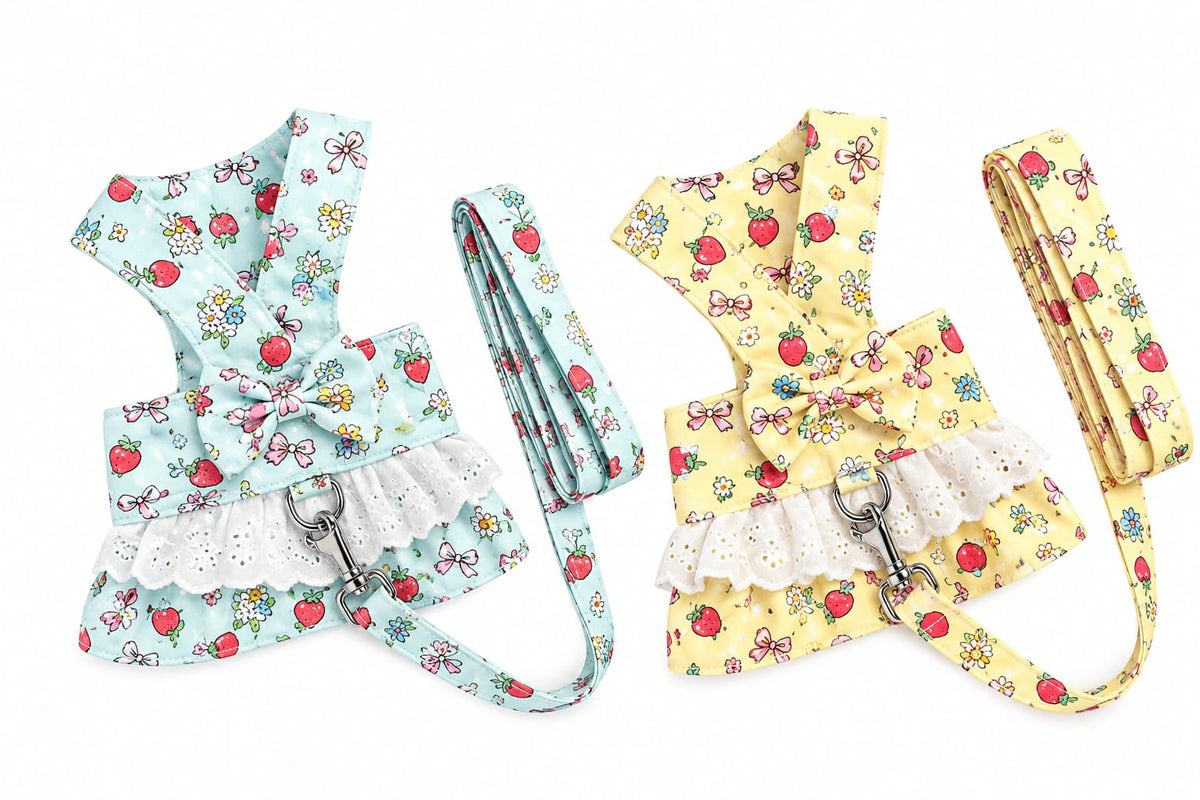 Arnés Vestido Floral con Correa para Perro